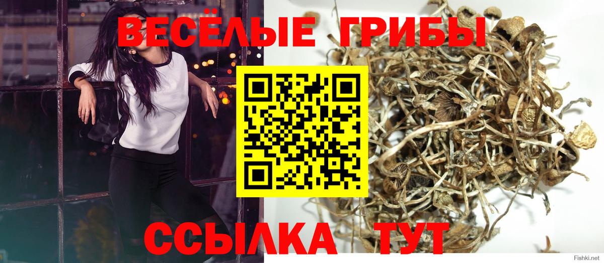 Кыштым  Галлюциногенные грибы Magic Shrooms  Вход с VPN 